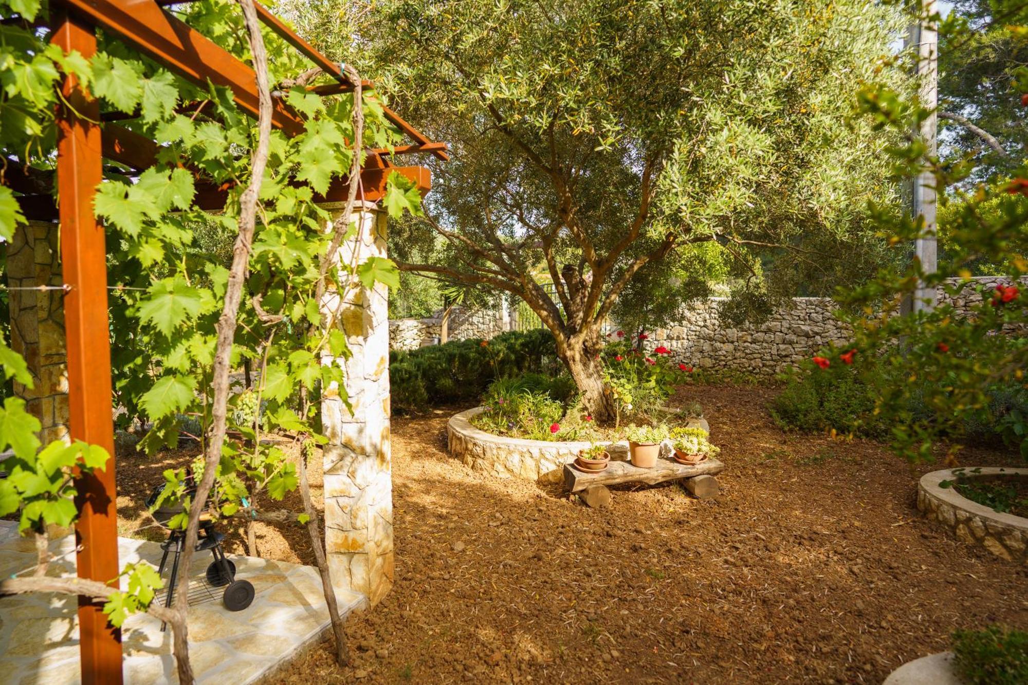 Apartment And Room Borka & Marko Mali Lošinj Exterior foto