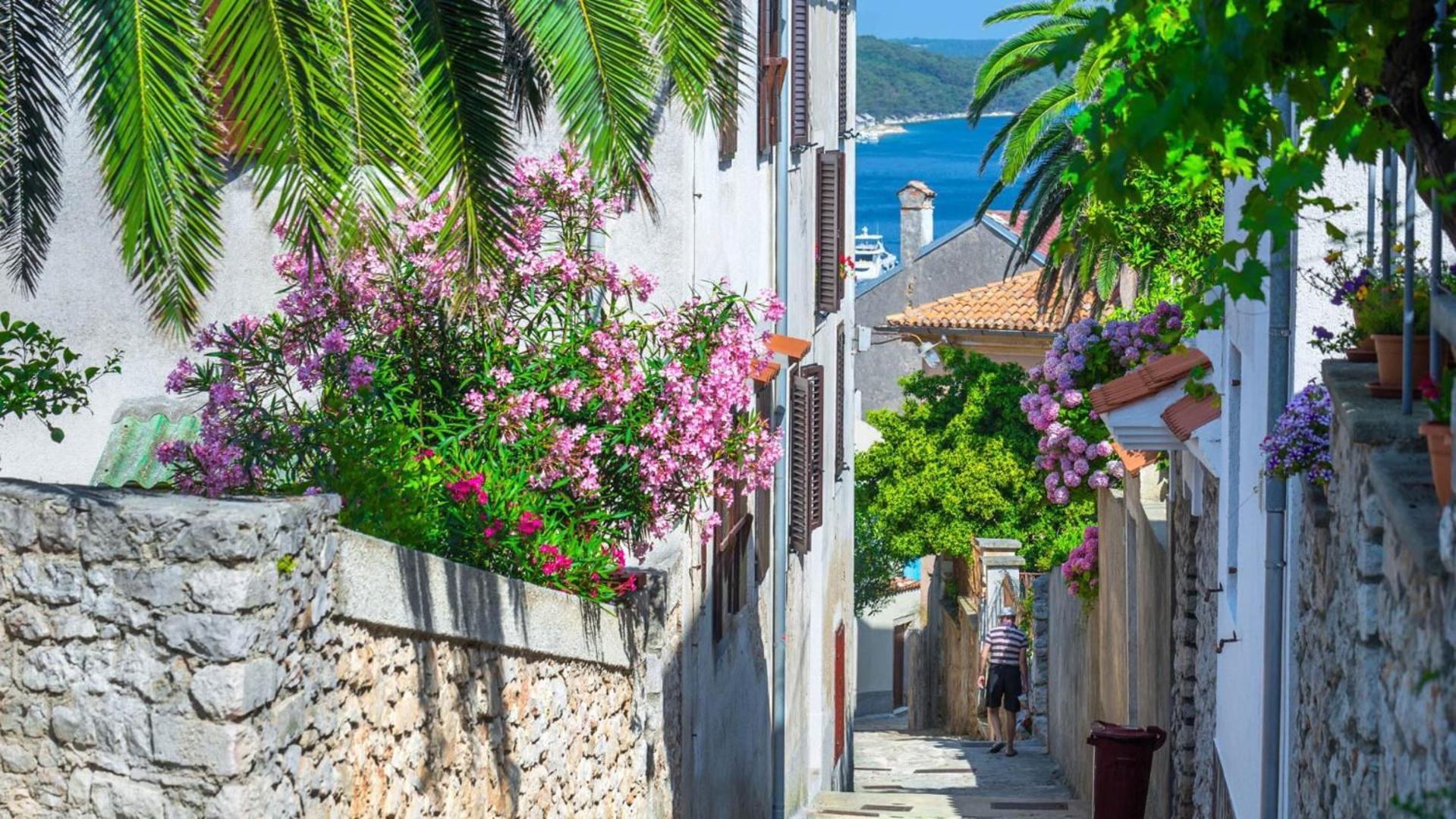 Apartment And Room Borka & Marko Mali Lošinj Exterior foto